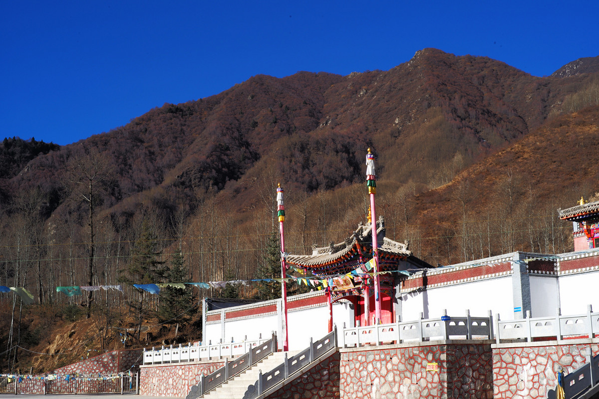 记录青海七里寺2