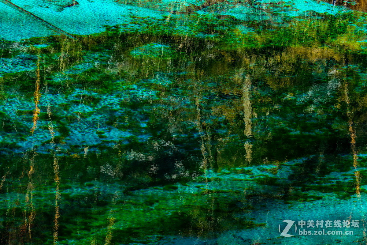 九寨沟的冬景   1