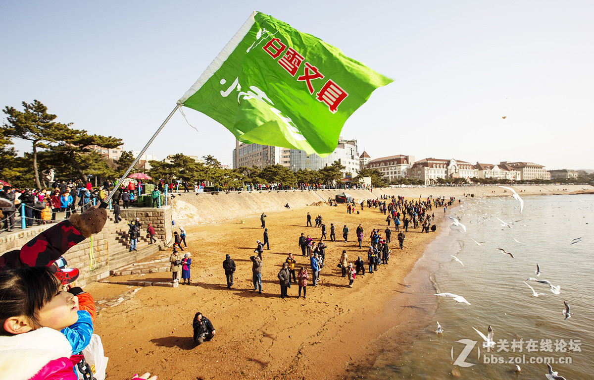 小小挽留海鸥20周年与爱同行