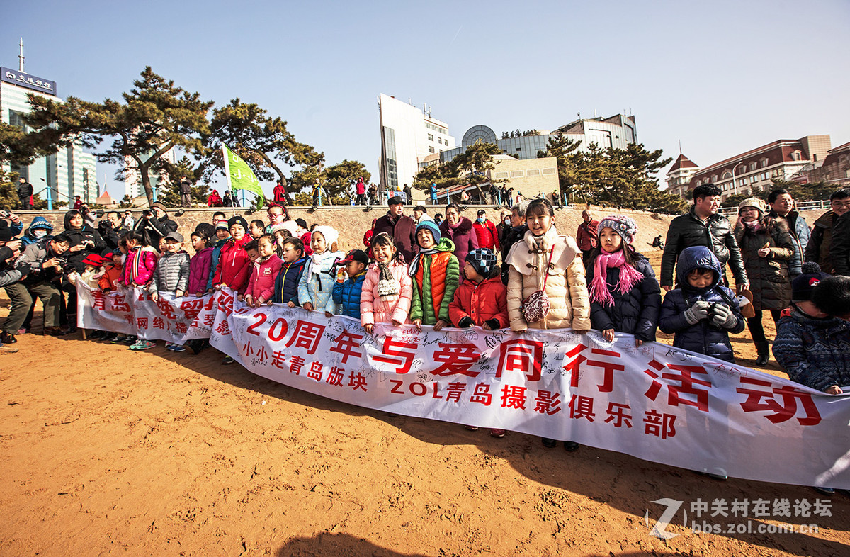 小小挽留海鸥20周年与爱同行