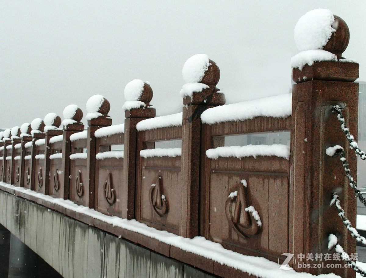 15年春节雪景(1)