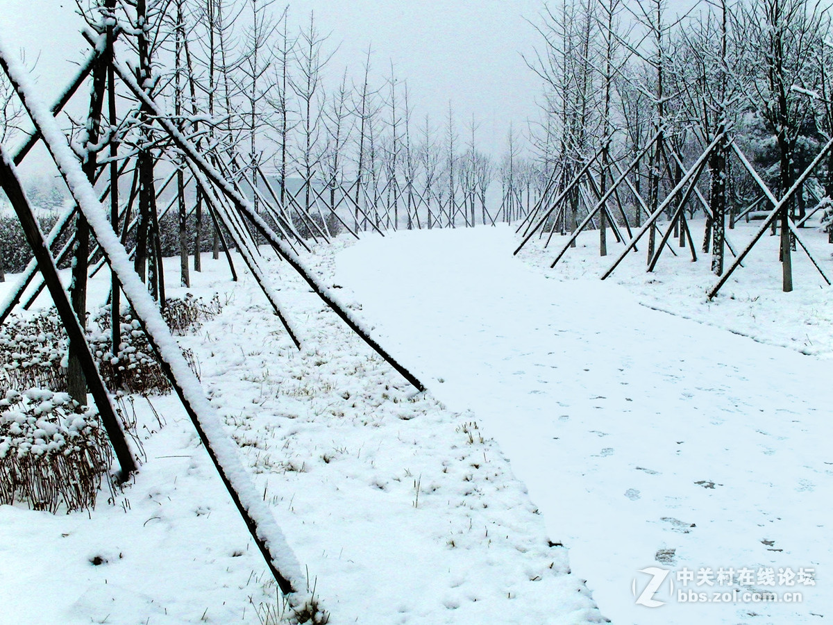 15年春节雪景(1)