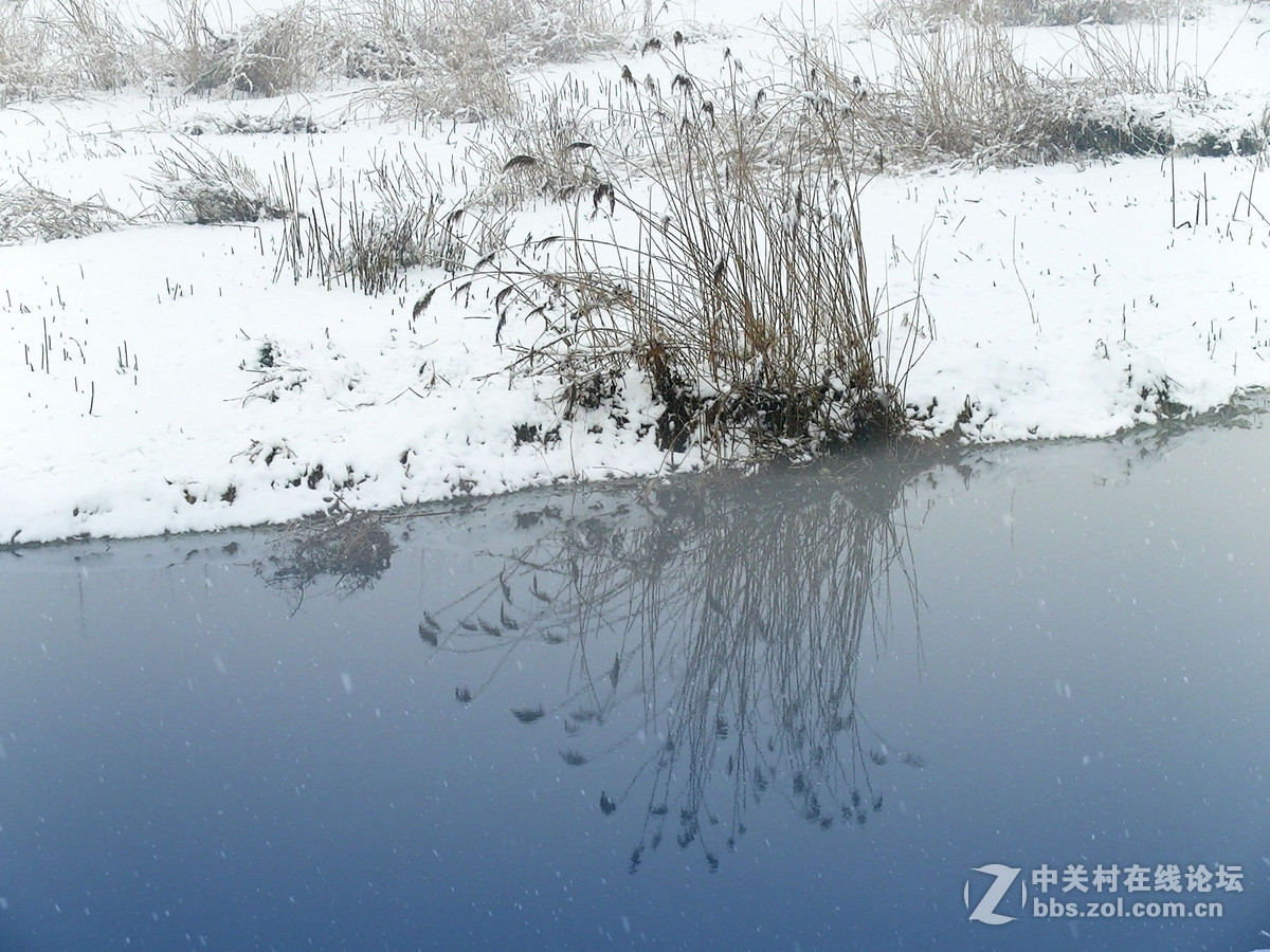 15年春节雪景(1)