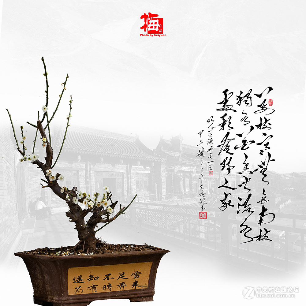 梅花书画图（PS练习）