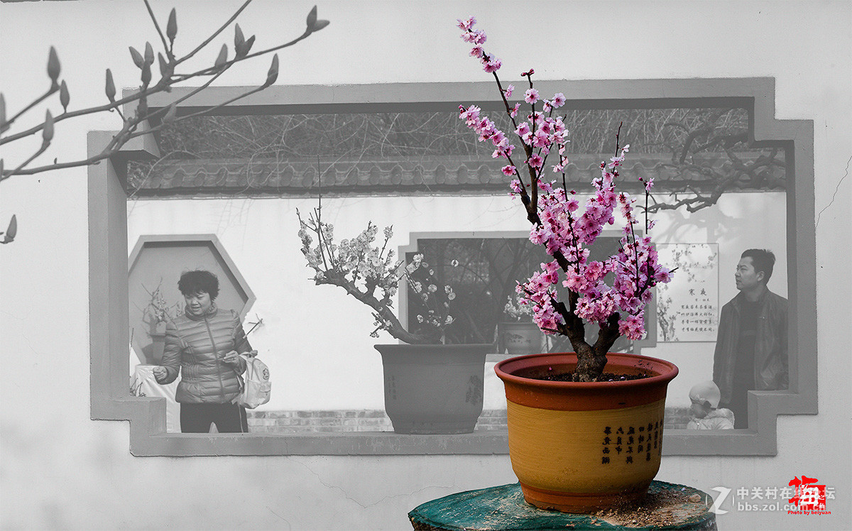 梅花书画图（PS练习）