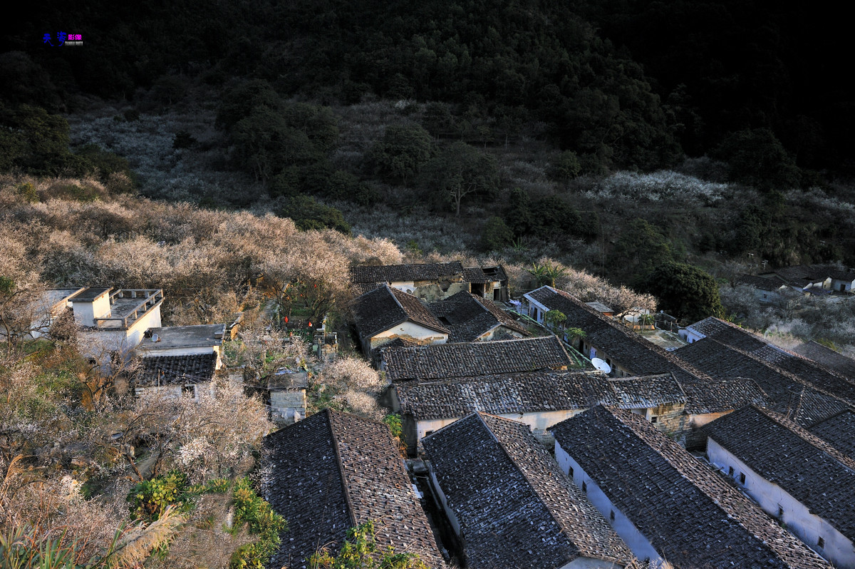 2015揭西行——西坑梅乡(续）