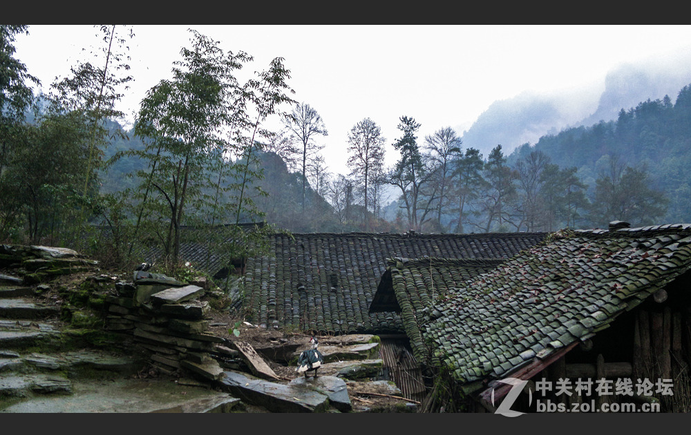 拍照还是舍不得诺基亚（N8）