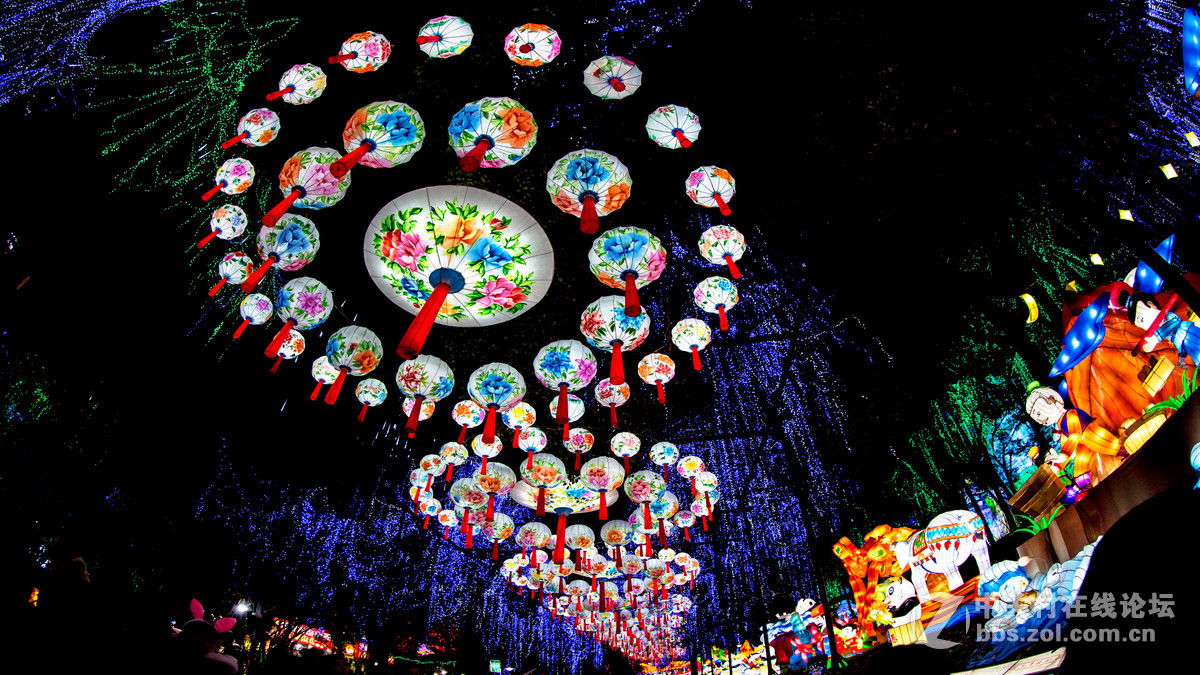 带着鱼眼看灯会