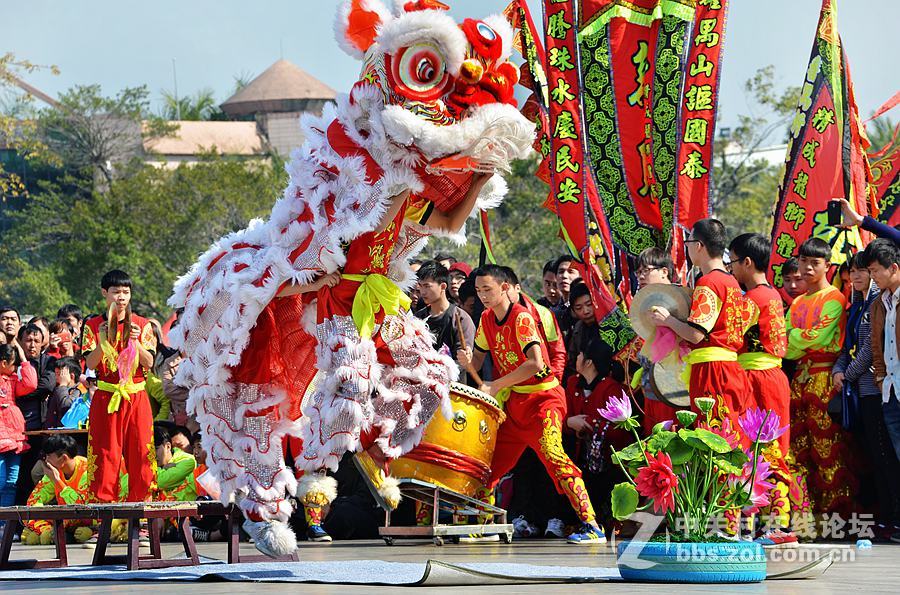 #一个春节，一台相机# 龙腾狮舞贺新春