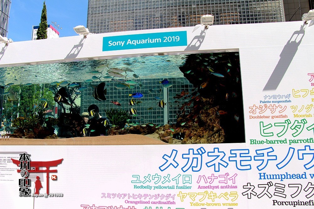 本州印象22——东京，银座随拍