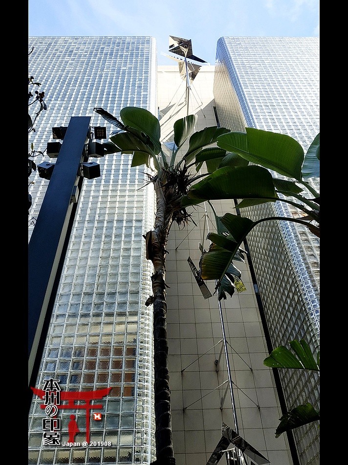 本州印象22——东京，银座随拍