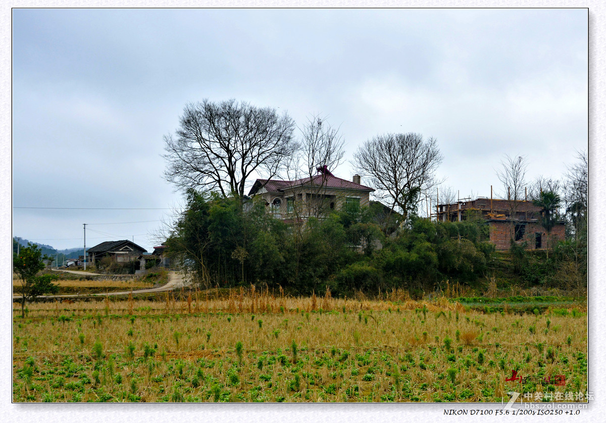 鄉村小景