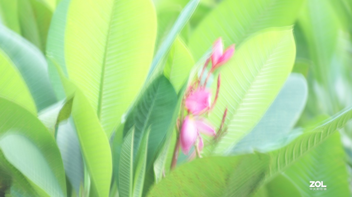入手相机之《有请大师》