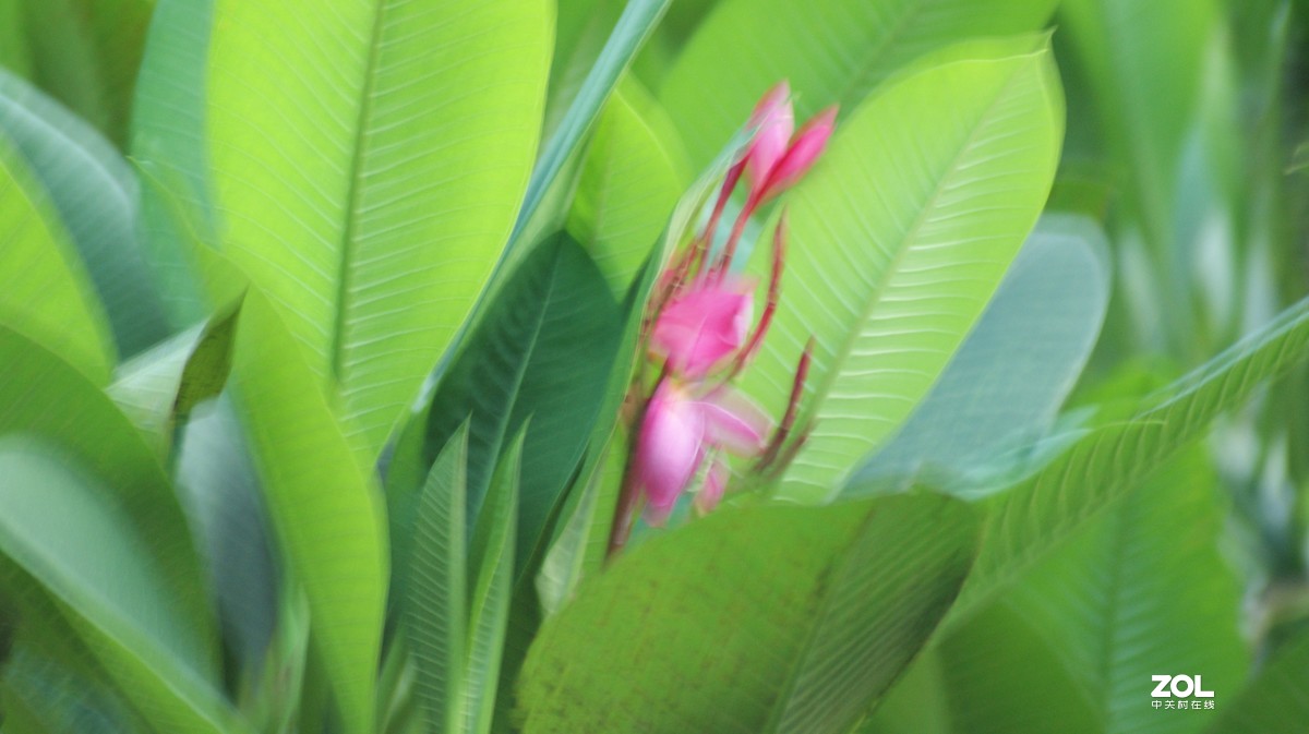 入手相机之《有请大师》