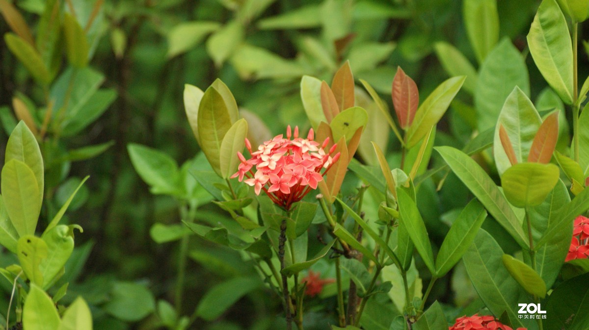 入手相机之《有请大师》