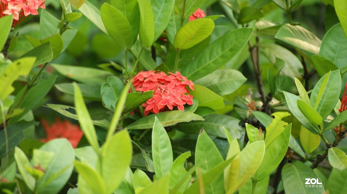 入手相机之《有请大师》