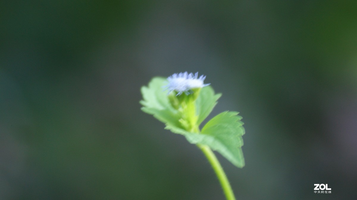 入手相机之《有请大师》