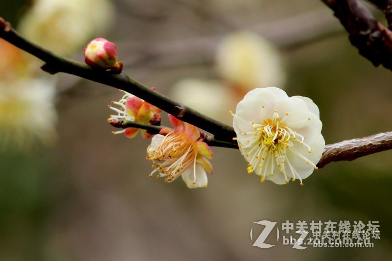 佳能700D論壇2015年2月份作品精選