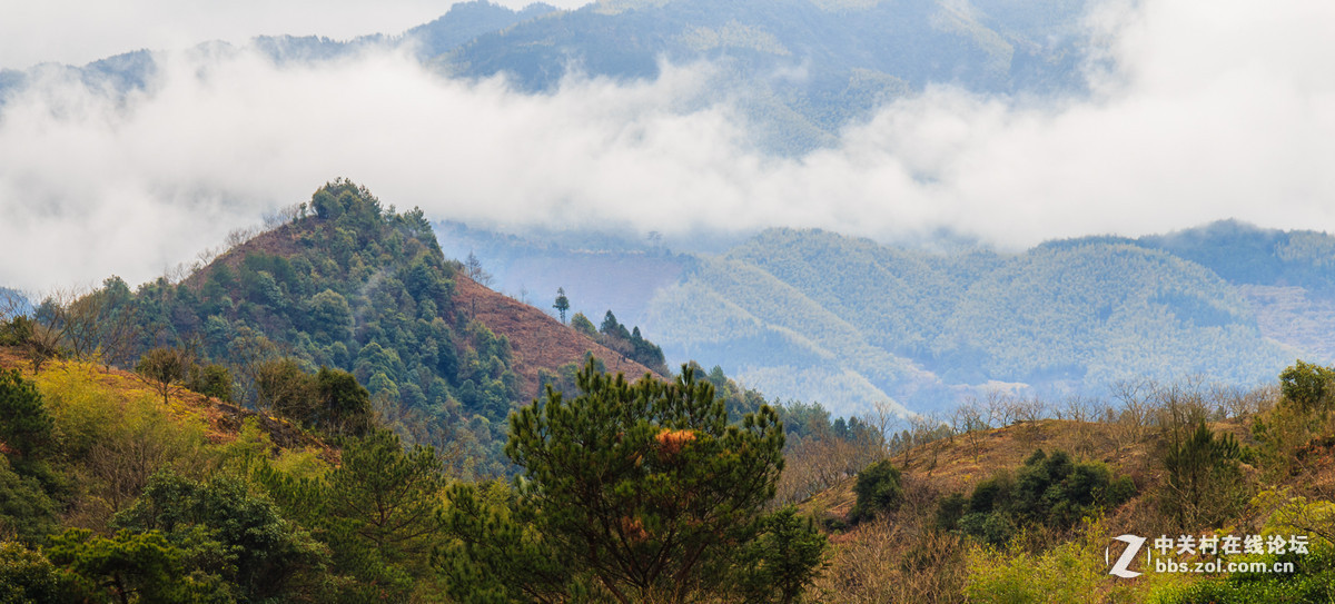 佳能700D論壇2015年2月份作品精選