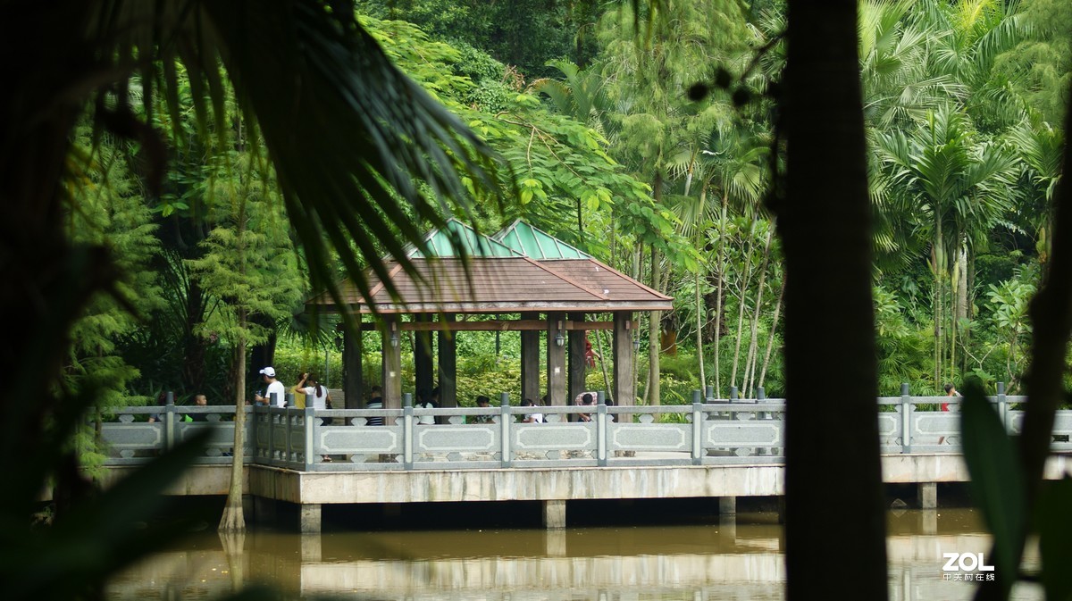 深圳羊台山公園城市建築