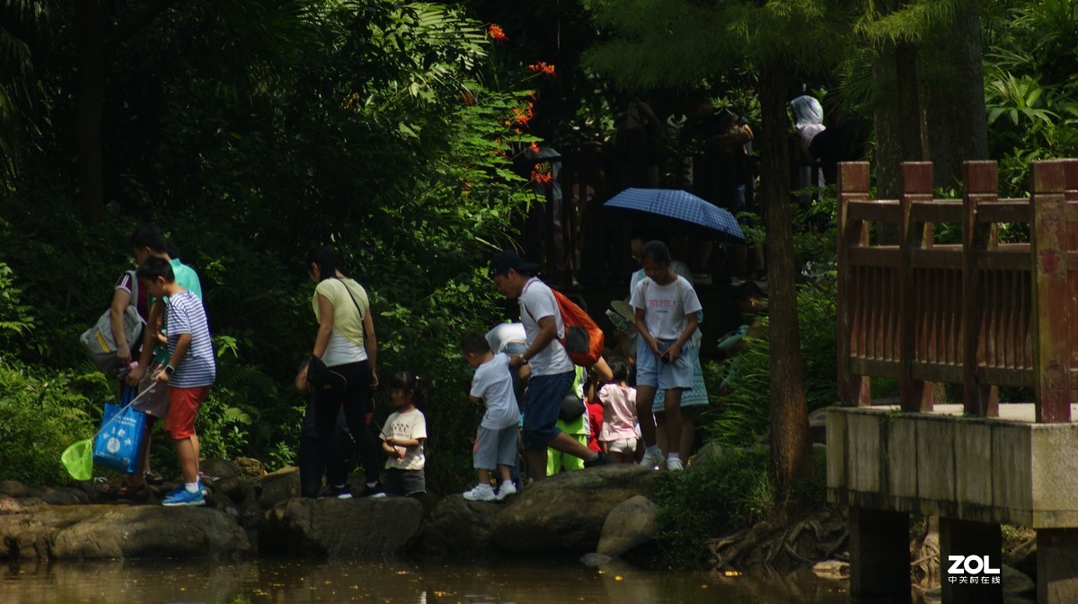 深圳羊台山公园之《嬉戏人生》