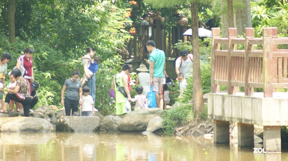 深圳羊台山公园之《嬉戏人生》