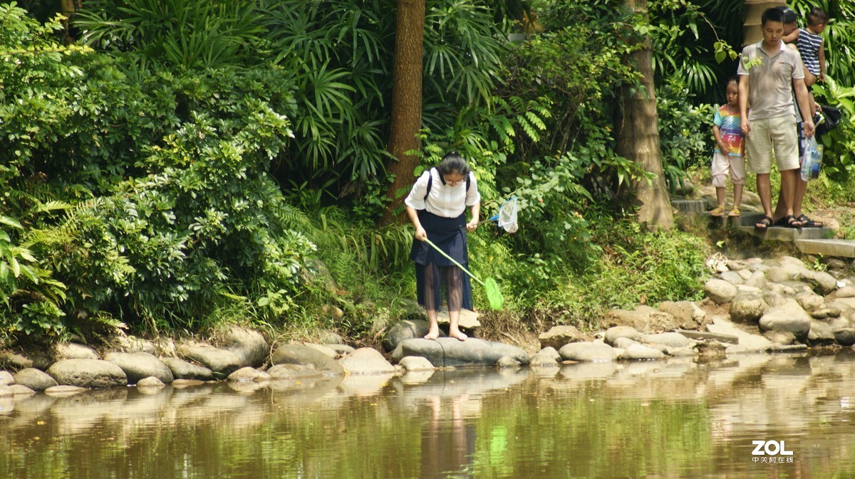 深圳羊台山公园之《嬉戏人生》