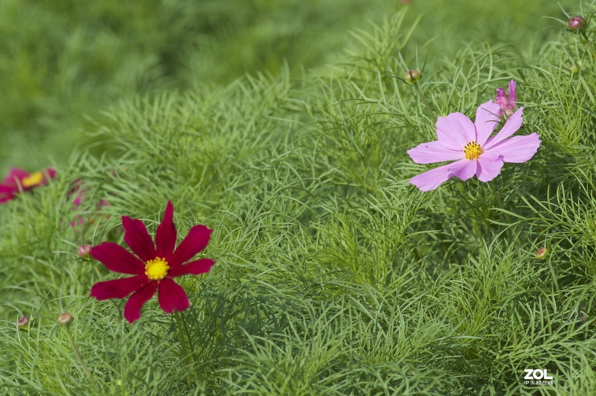 2019年艾依河之夏