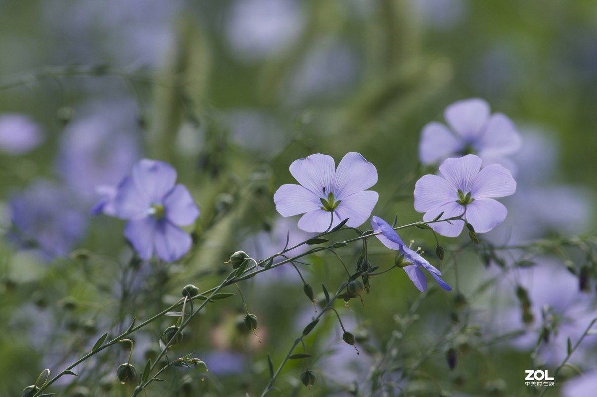 2019年艾依河之夏