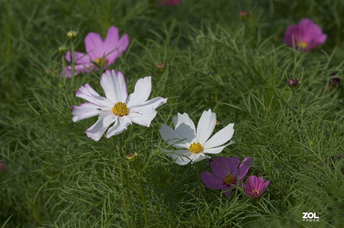 2019年艾依河之夏