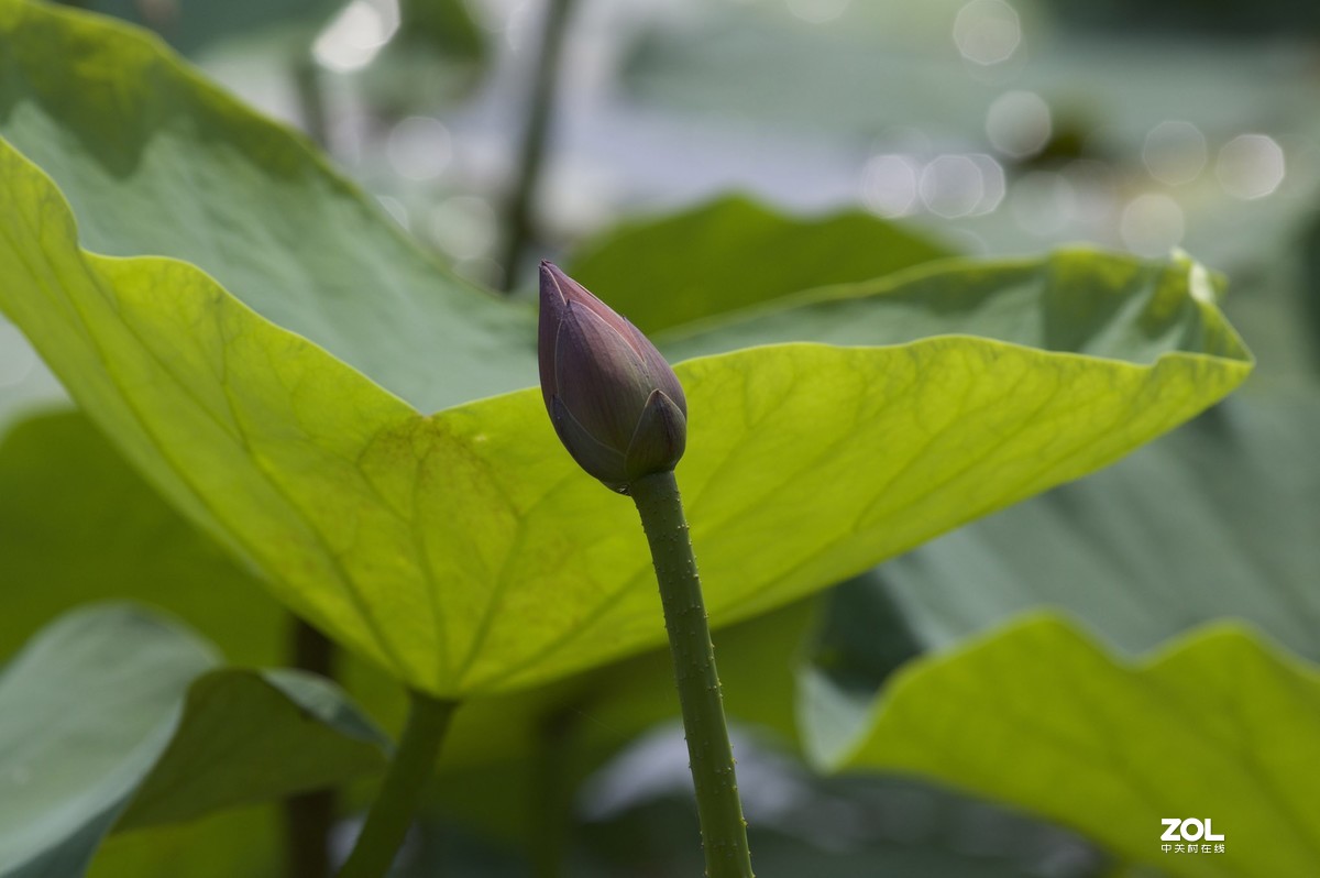 2019年艾依河之夏