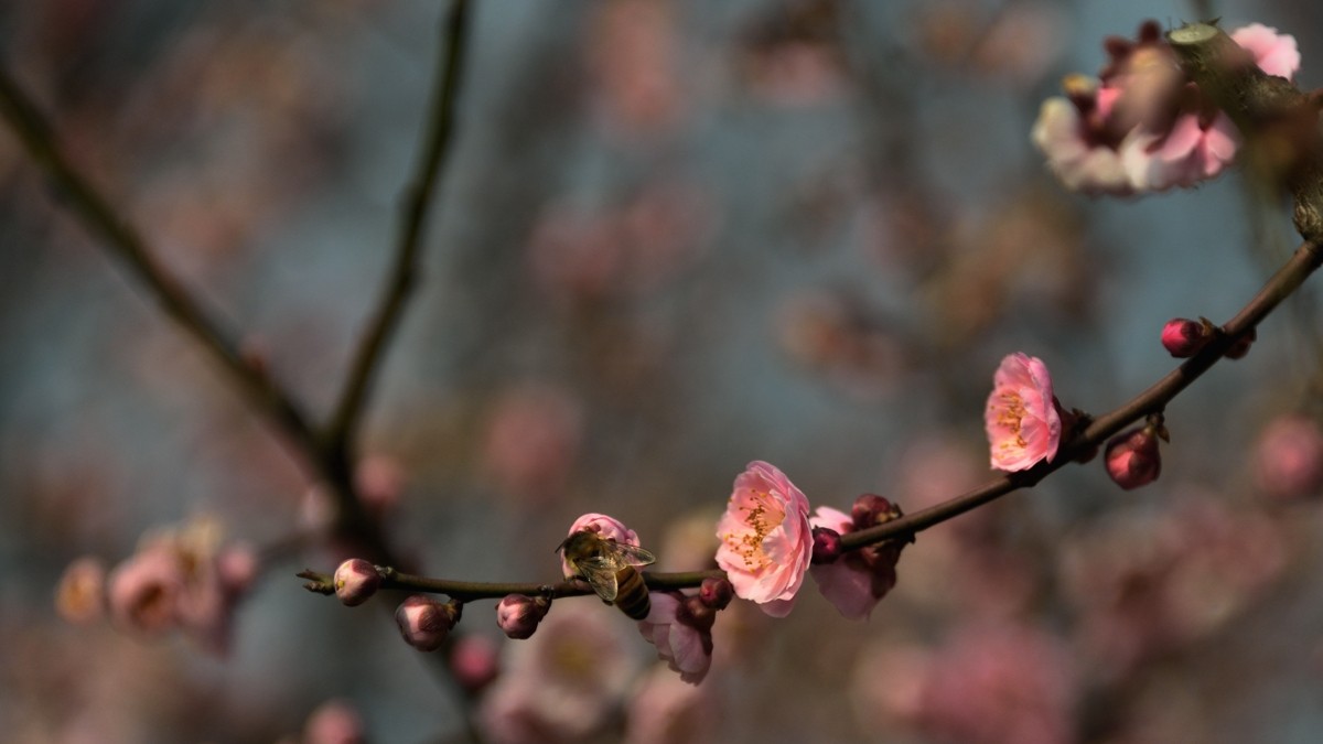 #2014·我的尼康摄影精彩回顾#——用镜头感受四季