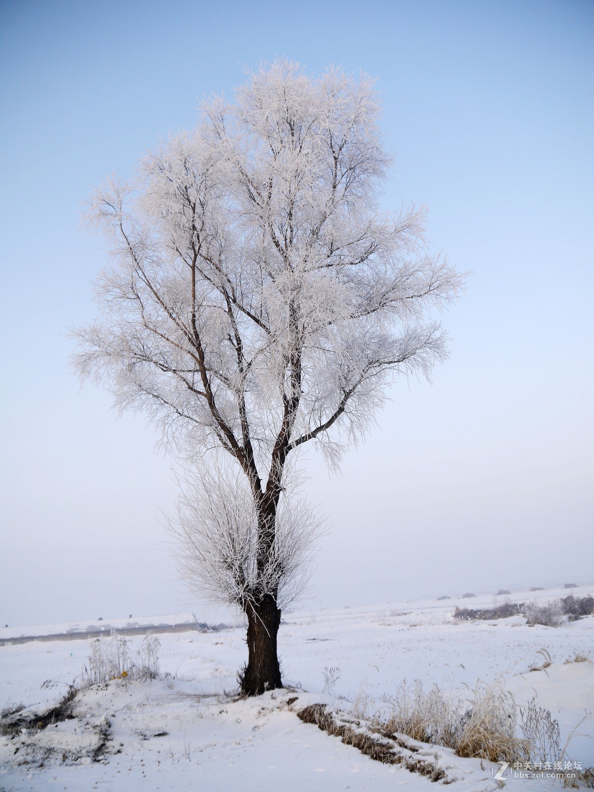 发几张老家的照片