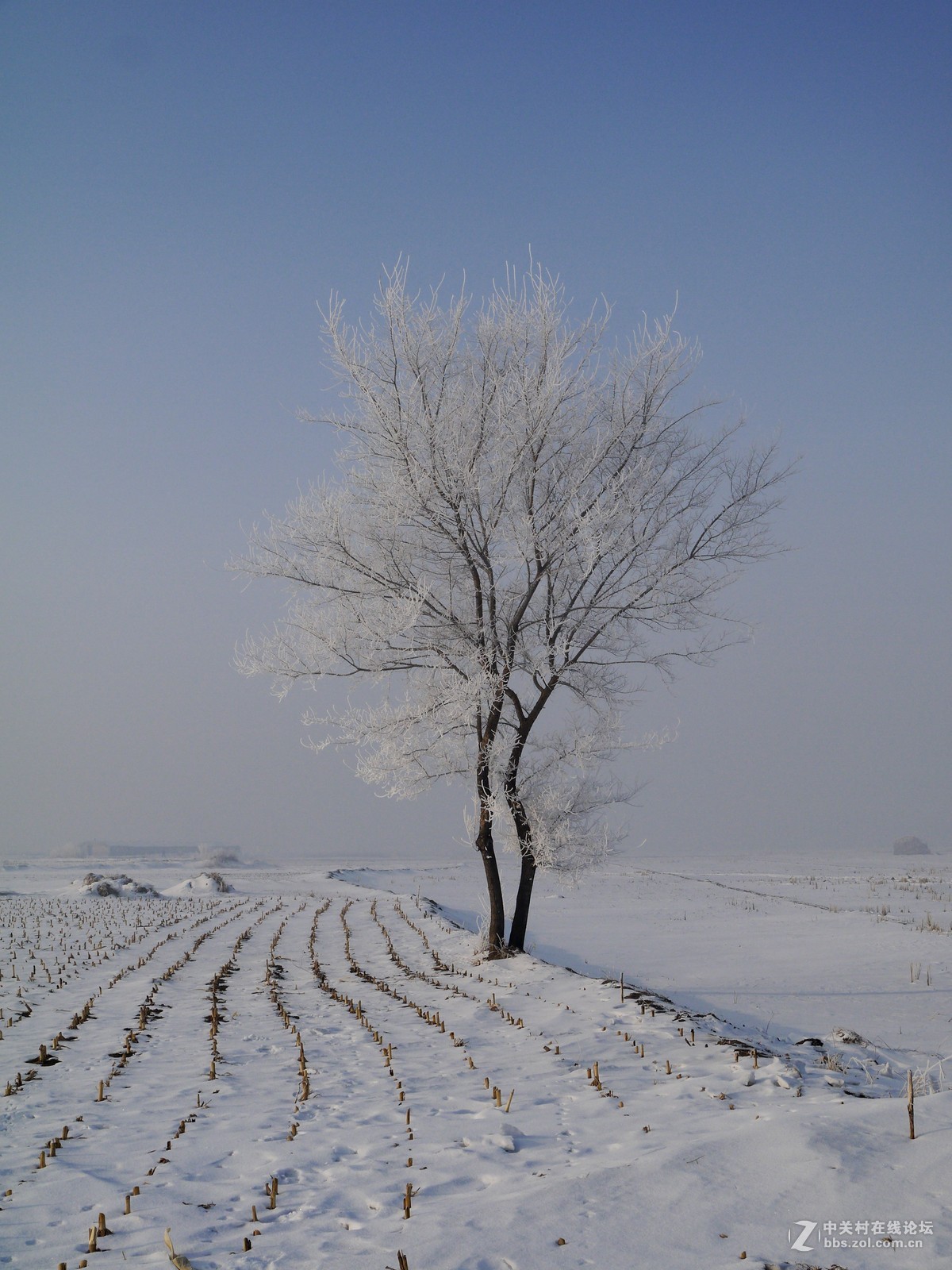 发几张老家的照片