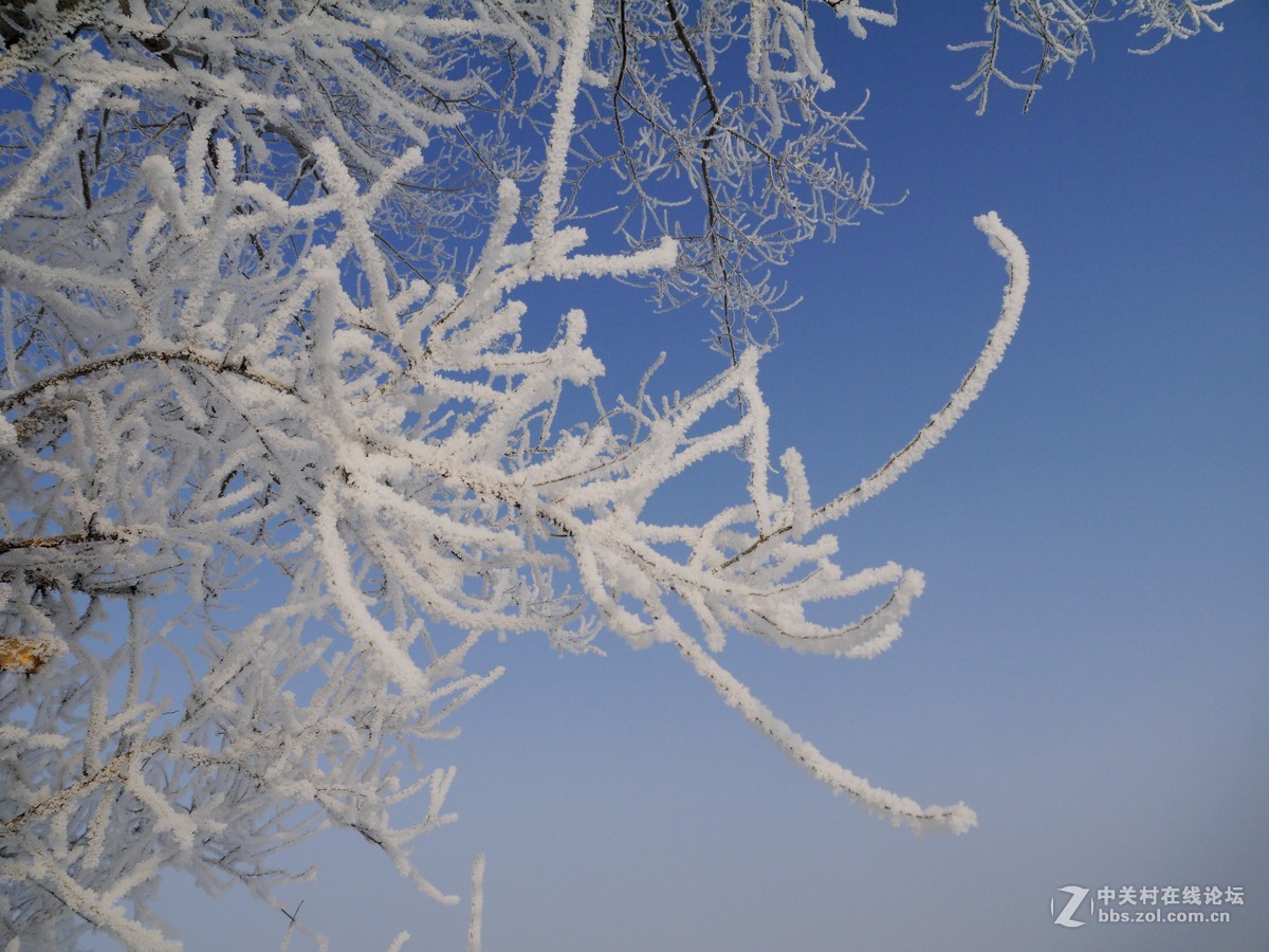 发几张老家的照片