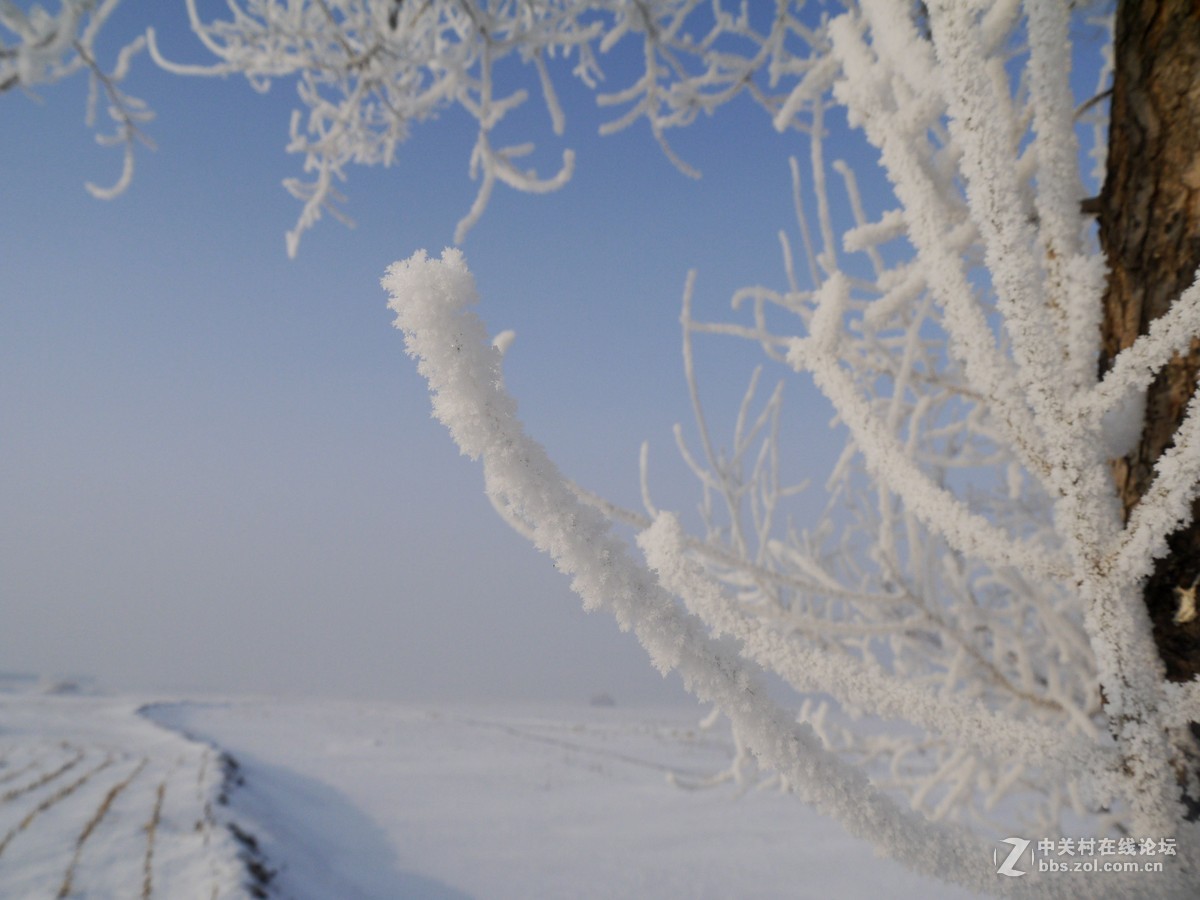 发几张老家的照片