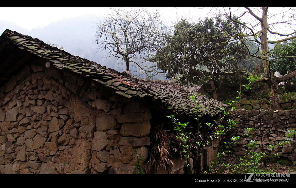 故乡！故乡.......