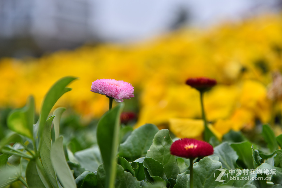 一组随拍，请拍砖。