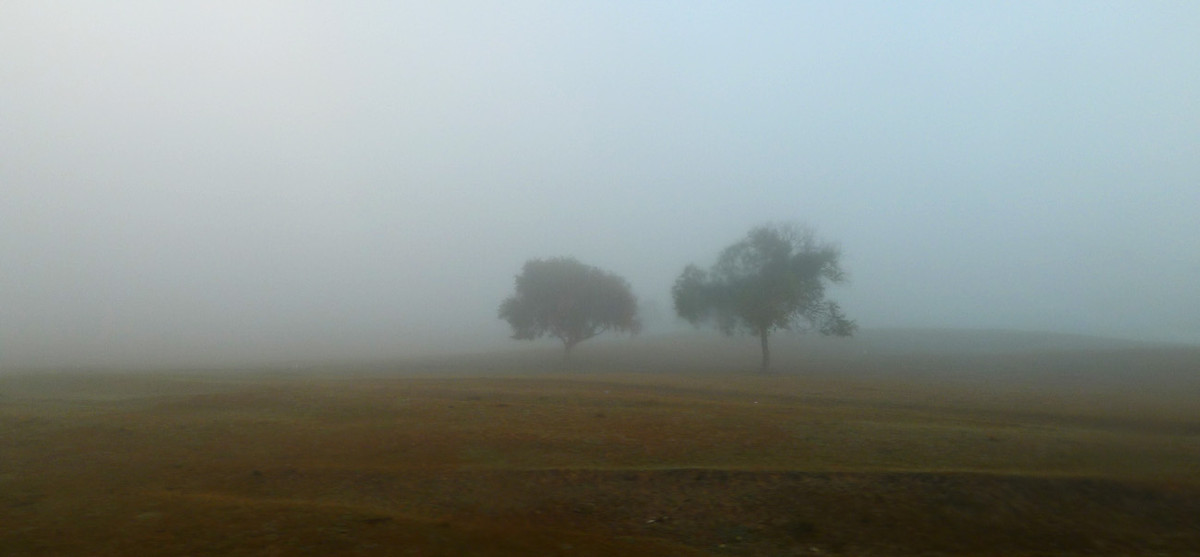 ZOL金秋乌兰布统深度摄影作业（六十六）走出草原／贰