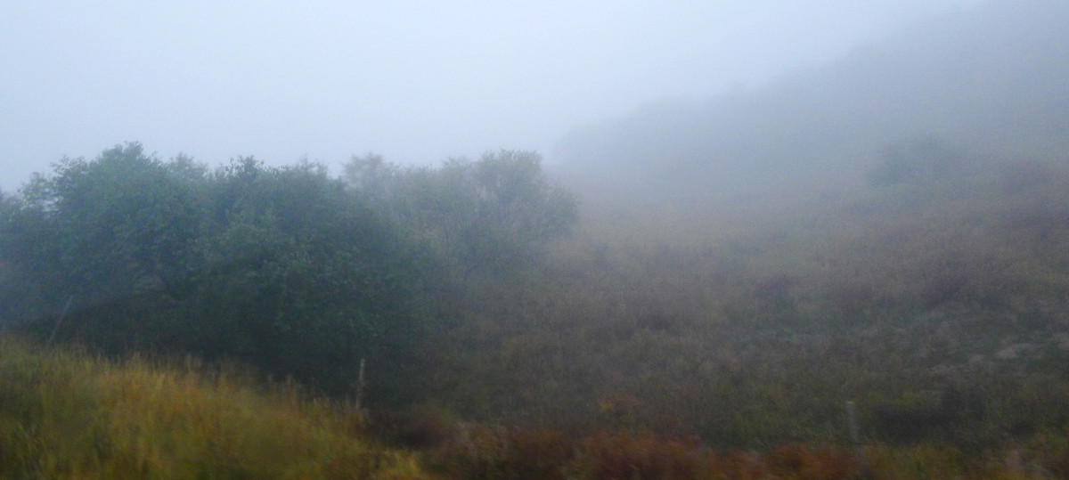 ZOL金秋乌兰布统深度摄影作业（六十六）走出草原／贰