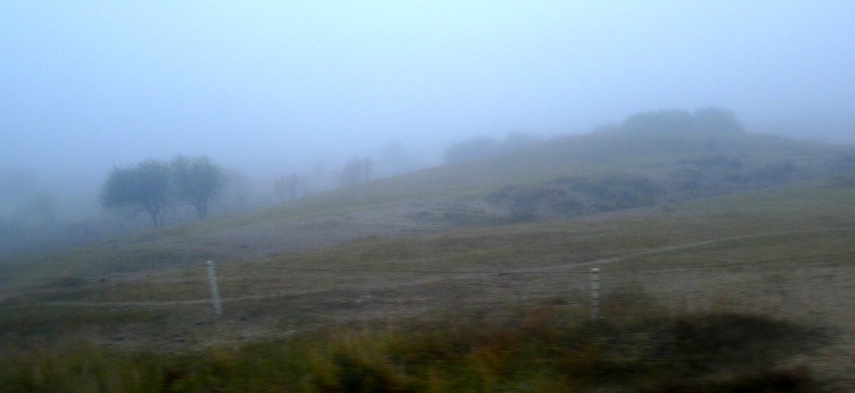 ZOL金秋乌兰布统深度摄影作业（六十六）走出草原／贰