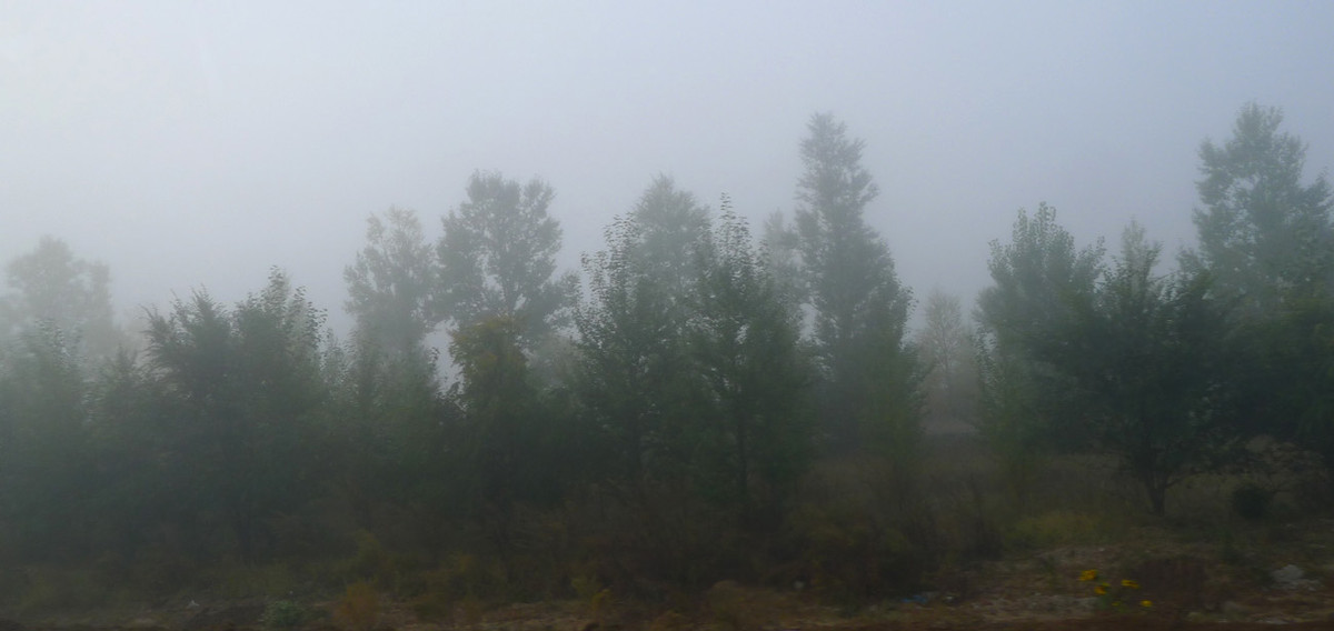 ZOL金秋乌兰布统深度摄影作业（六十六）走出草原／贰