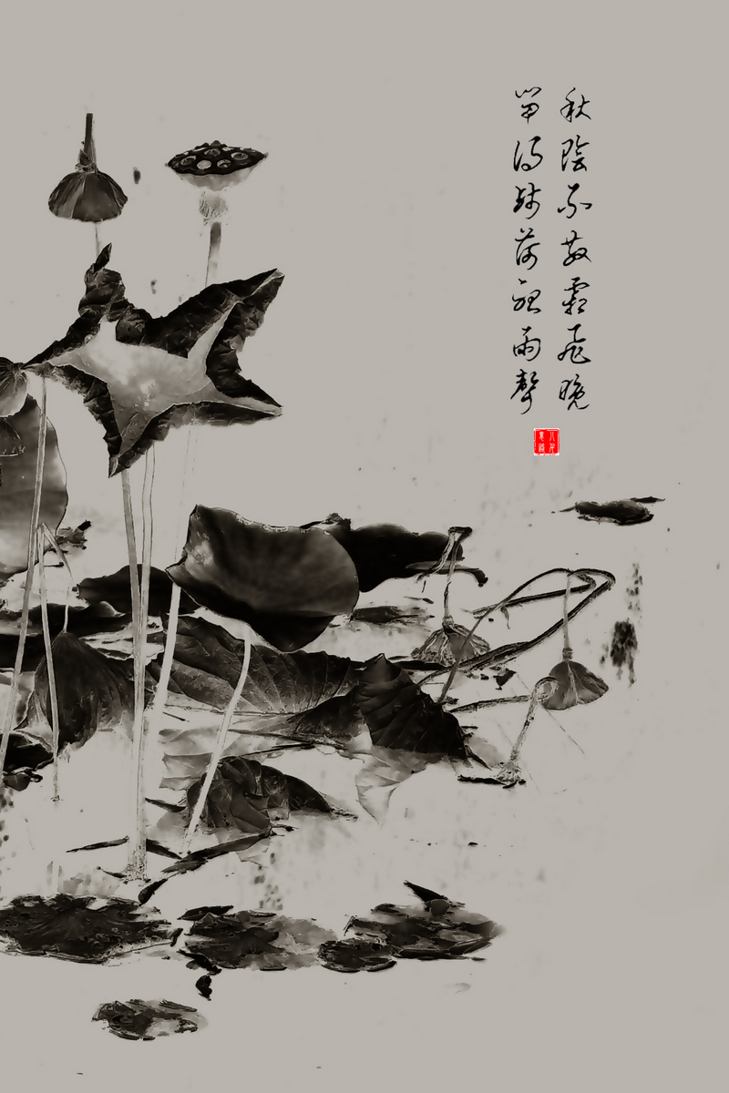 水墨写意——残荷图