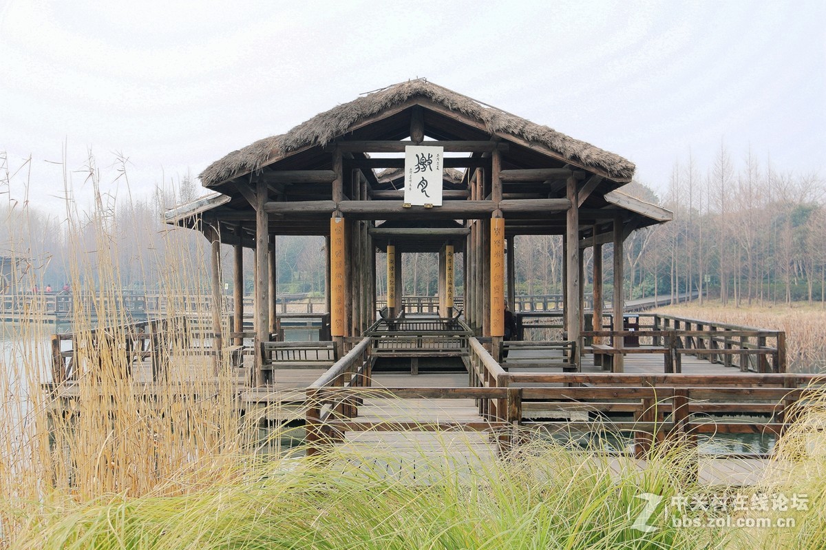 渤公岛一组