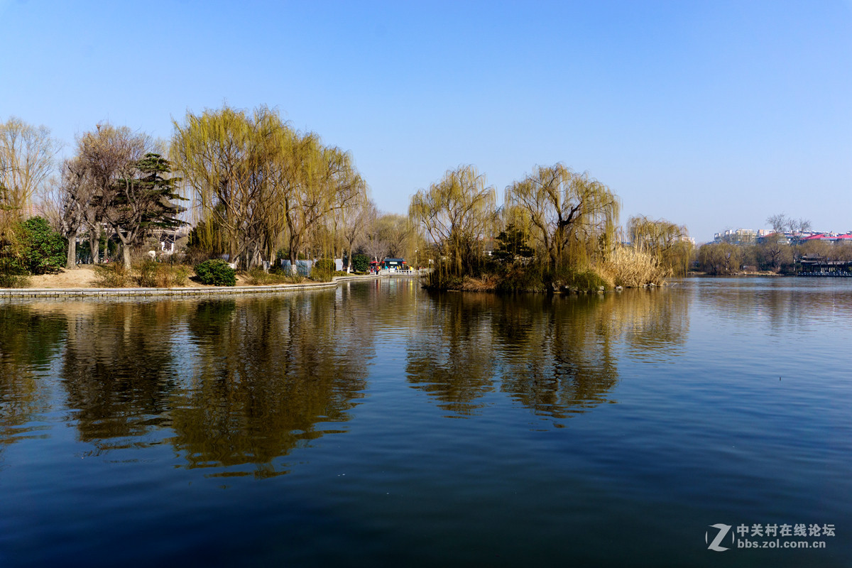 初春大明湖