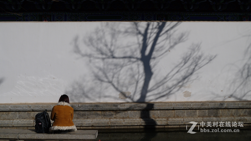 丽江行之一大研古镇