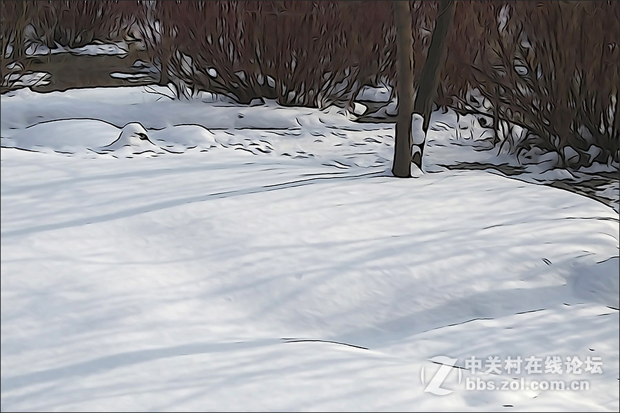 用HX400的“插图”模式拍摄的【雪景】