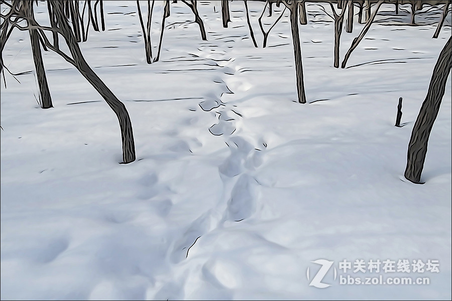 用HX400的“插图”模式拍摄的【雪景】