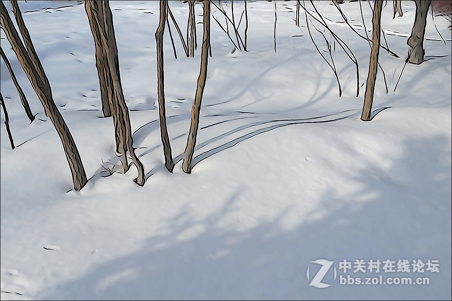 用HX400的“插图”模式拍摄的【雪景】