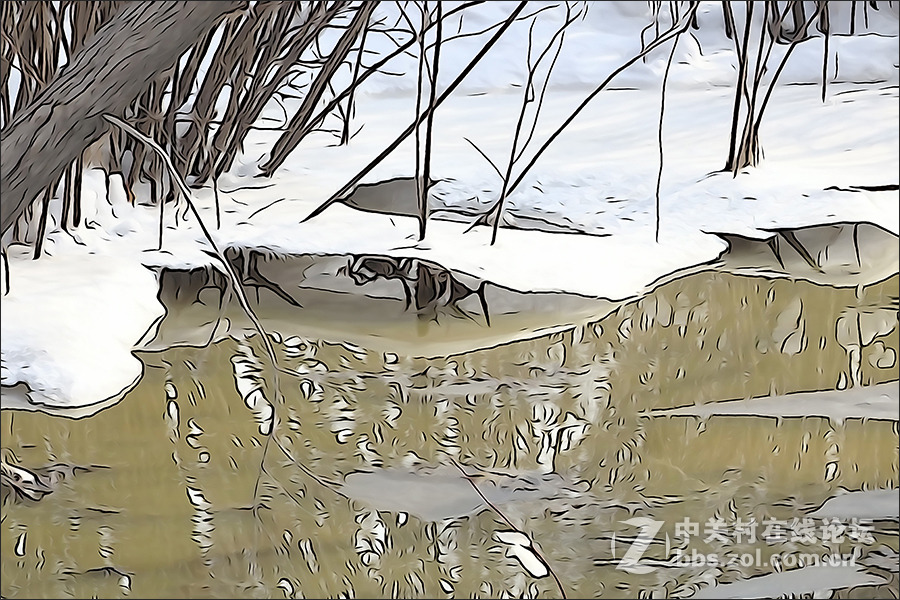 用HX400的“插图”模式拍摄的【雪景】